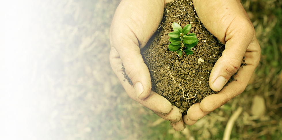 Equipe da Hagios Tech trabalhando em soluções