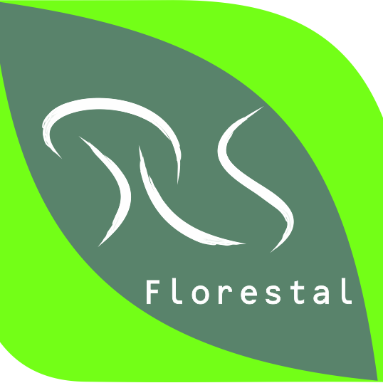 RS Florestal